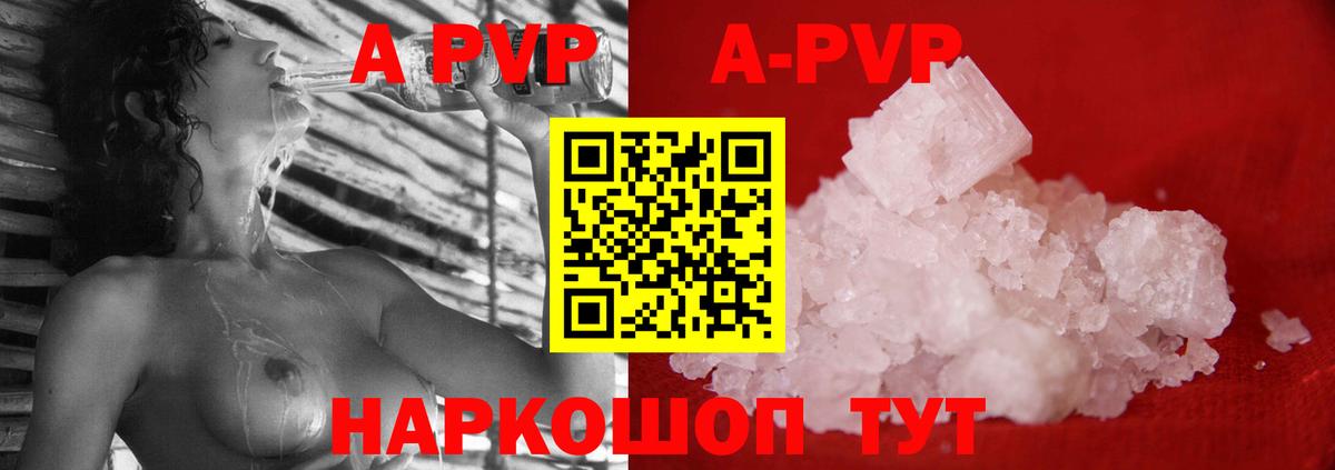 A-PVP СК КРИС  Вход с VPN  Холмск  Альфа ПВП  APVP СК 