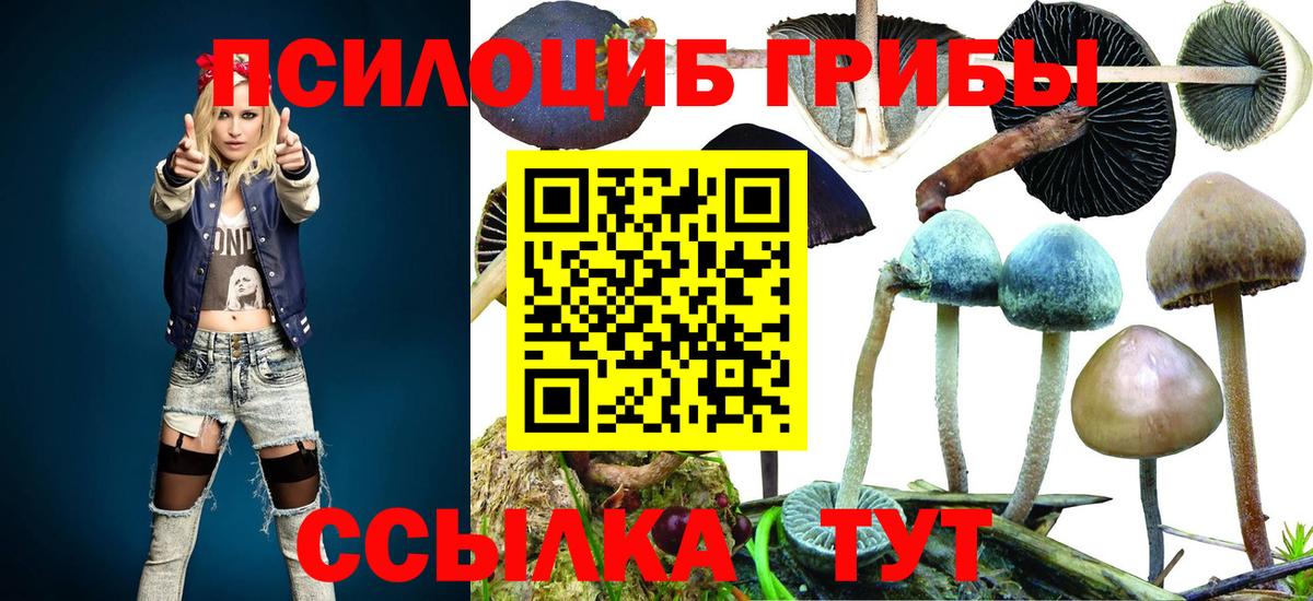 Галлюциногенные грибы Magic Shrooms Холмск